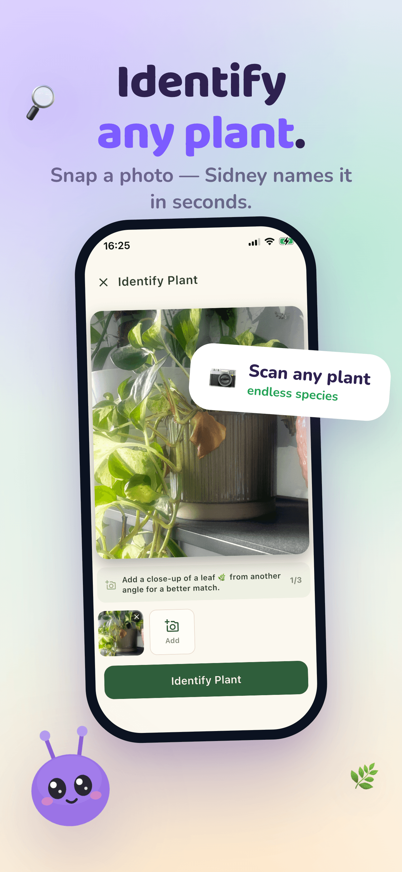 Identify plants and detect diseases with the Mali camera