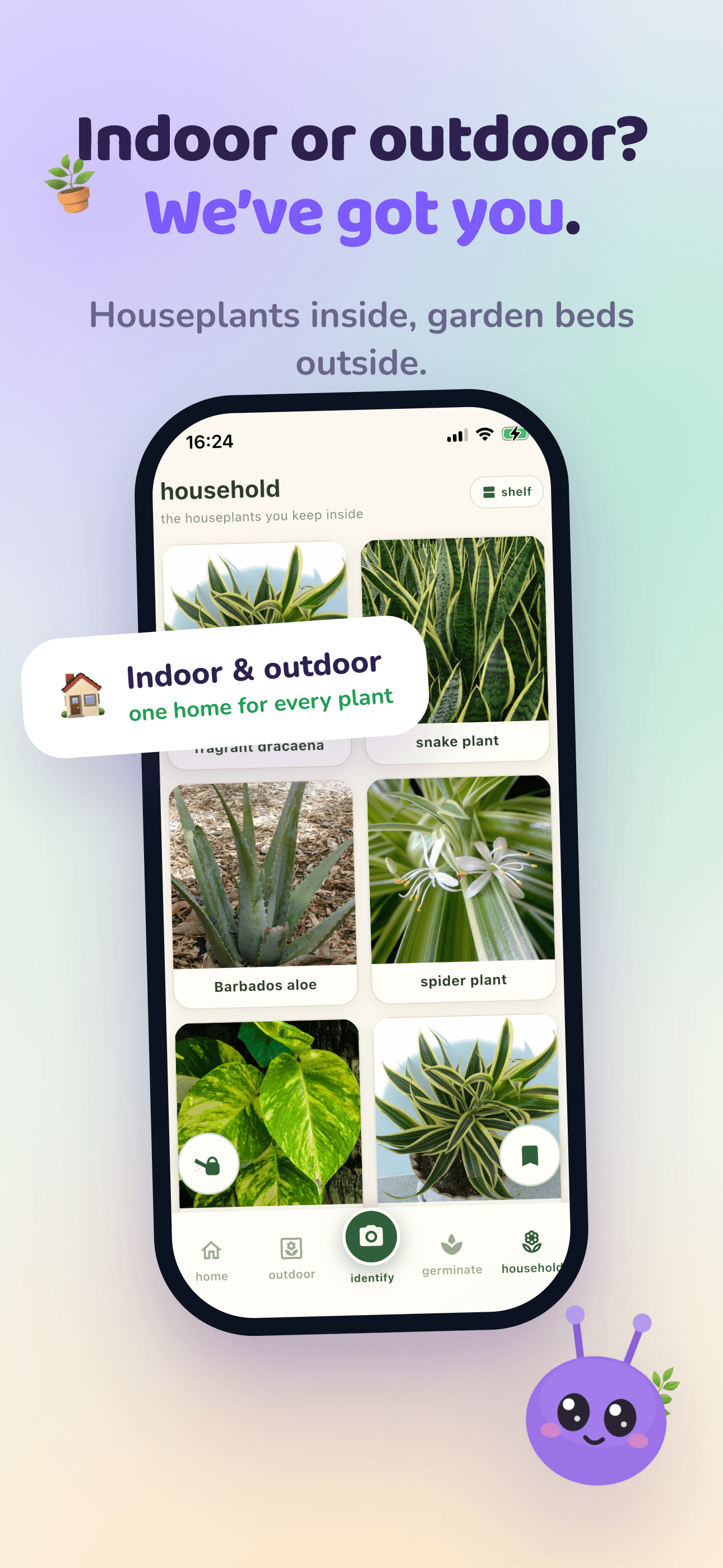 Indoor and outdoor plants, together