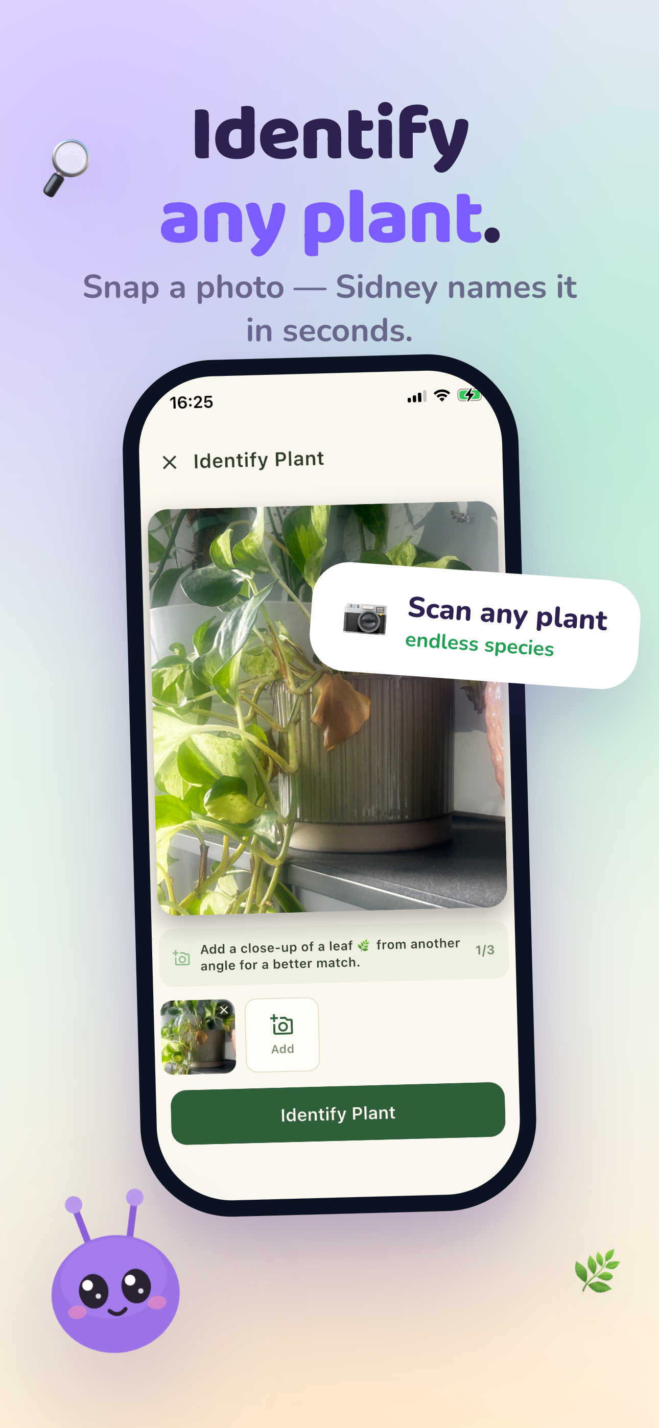 Mali screenshot — Identify & diagnose