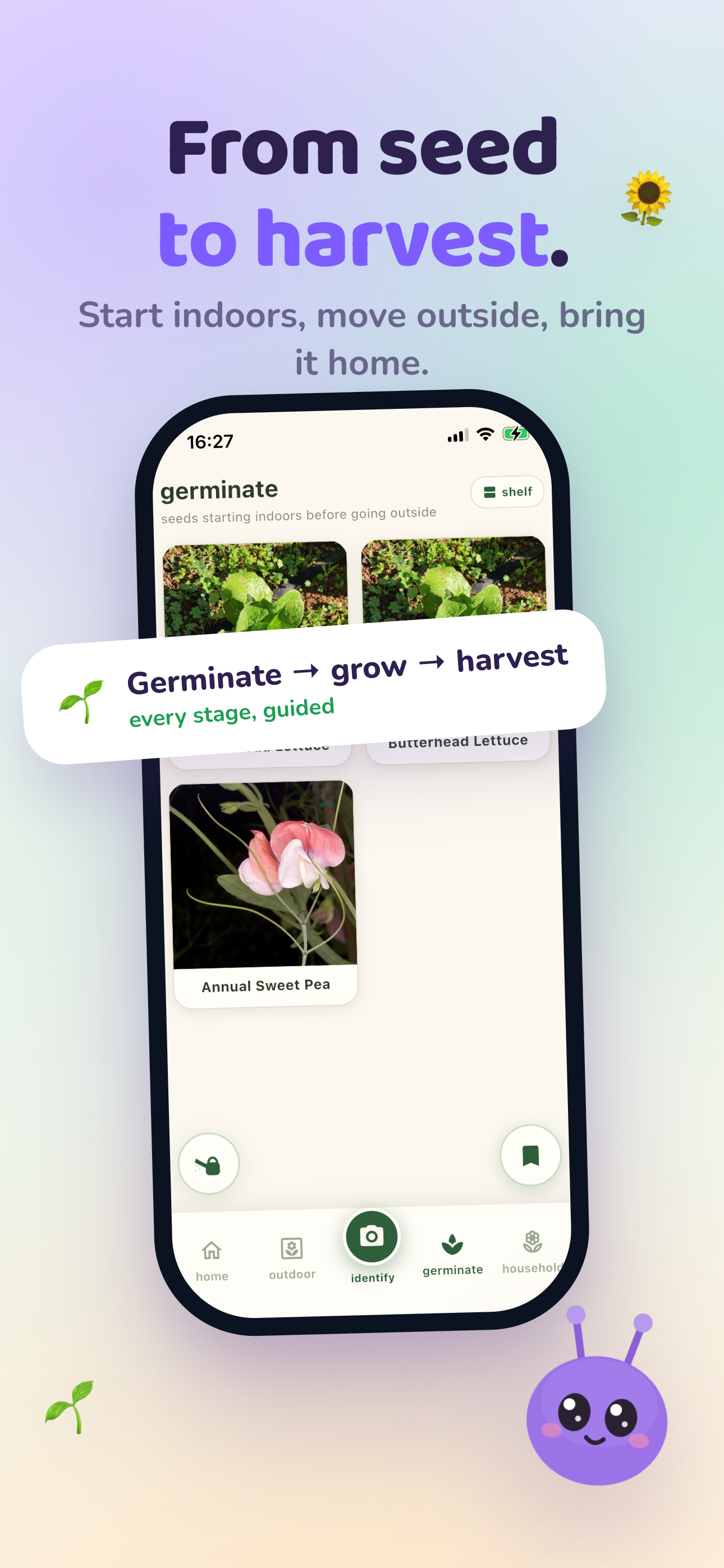 Mali screenshot — Seed to harvest